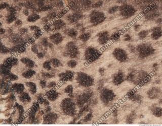 Photo Texture of Fabric Patterned 